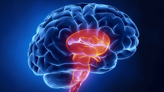 Beyin Sapı Tümörleri Nedir? Belirtileri Nelerdir?