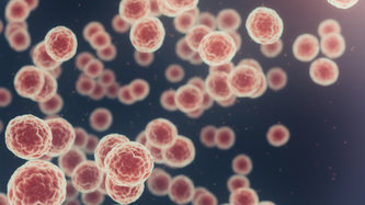 Kanser Nasıl Oluşur?