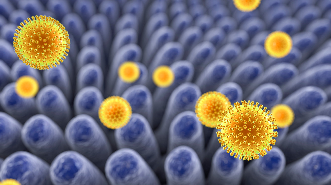 Çiçek Hastalığı Nedir? Çiçek Hastalığı Belirtileri Nelerdir?