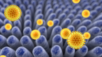 Çiçek Hastalığı Nedir? Çiçek Hastalığı Belirtileri Nelerdir?