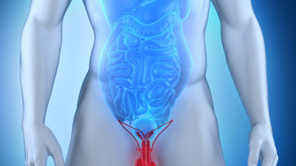 Testis Kanseri: Belirtileri, Teşhis & Tedavi Yöntemleri