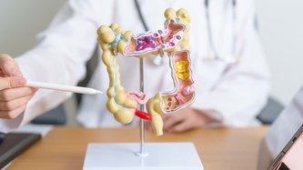 Üst ve Alt Sindirim Sistemi (Kolerektal) Cerrahi Birimi